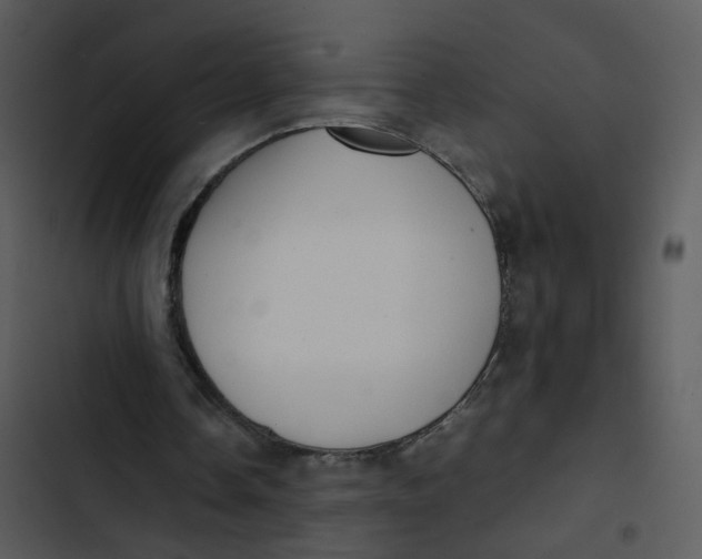 X0000102840338200809081225