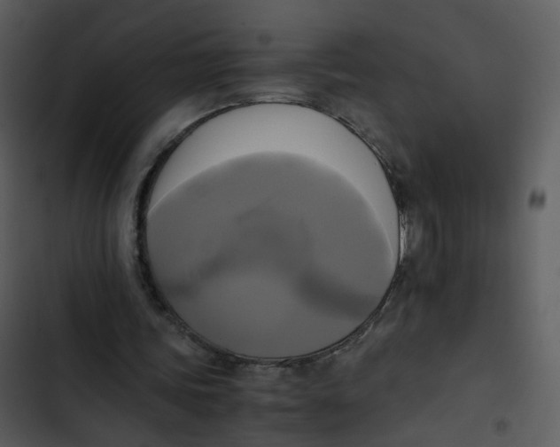 X0000102840339200809081225