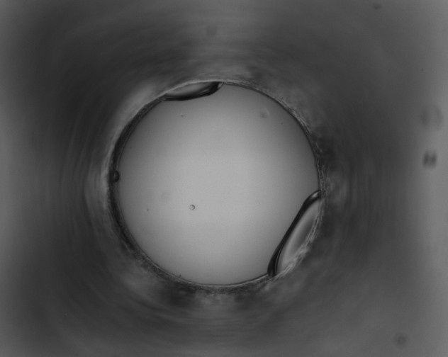 X0000102840340200809081225