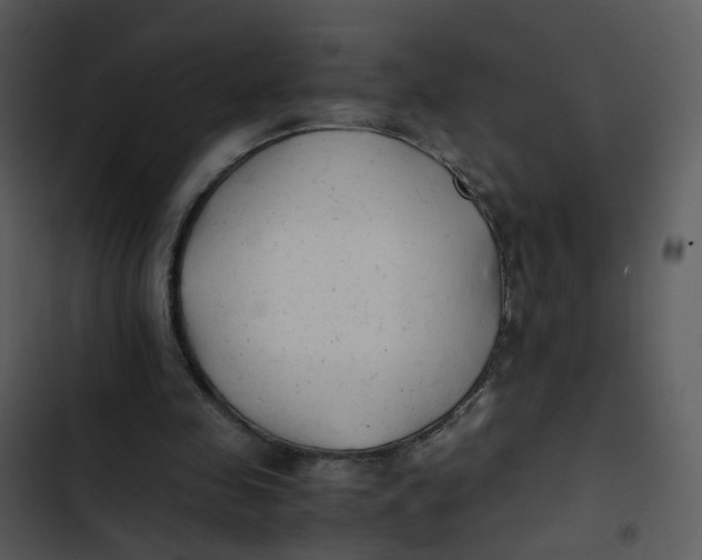 X0000102840341200809081225