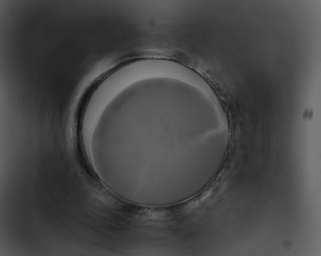 X0000102840343200809081225