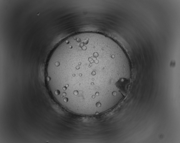 X0000102840345200809081225