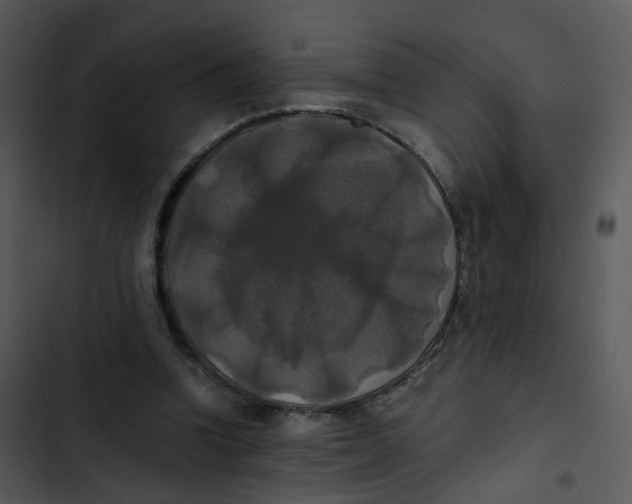 X0000102840346200809081225