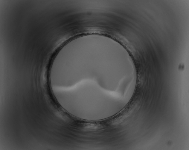 X0000102840347200809081225