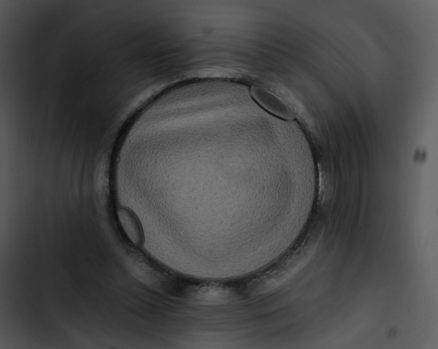 X0000102840348200809081225