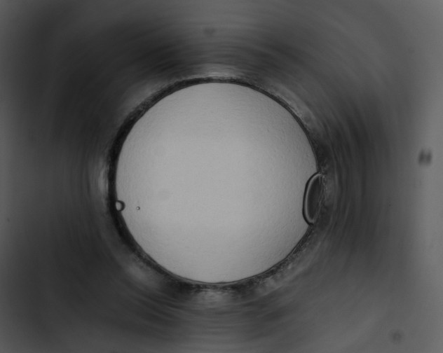 X0000102840350200809081225