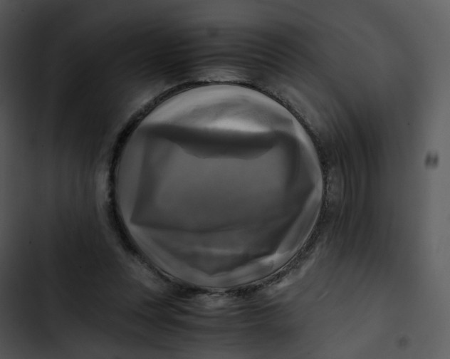 X0000102840351200809081225