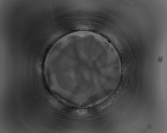 X0000102840353200809081225