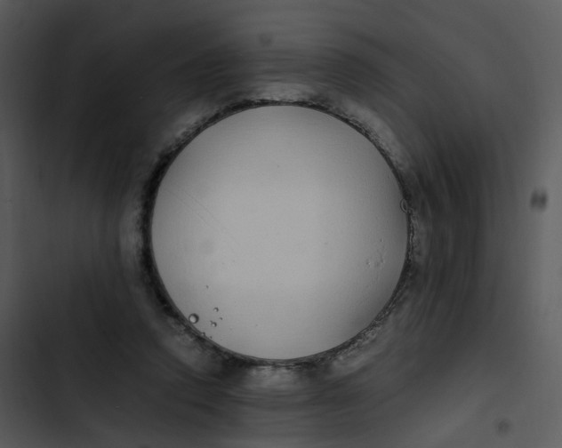 X0000102840354200809081225