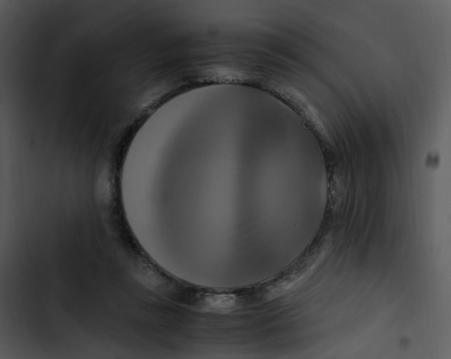 X0000102840355200809081225