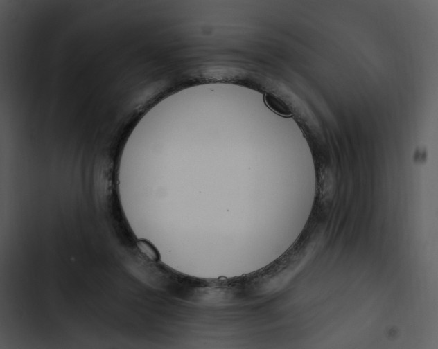 X0000102840356200809081225