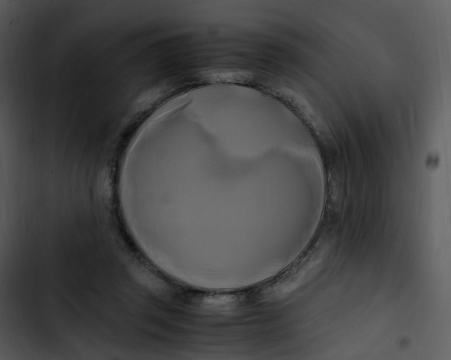 X0000102840357200809081225