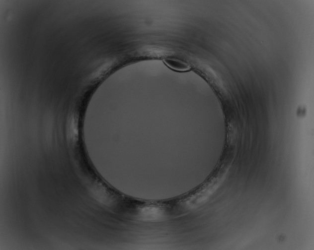 X0000102840358200809081225