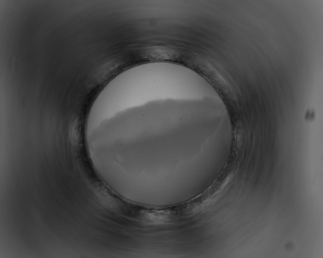 X0000102840359200809081225