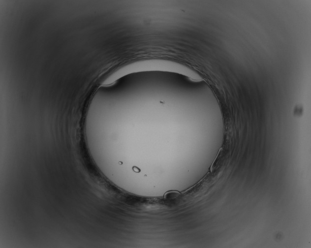 X0000102840360200809081225