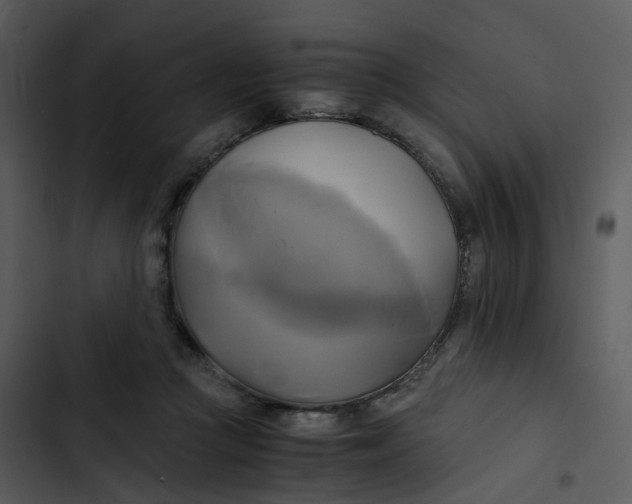 X0000102840361200809081225