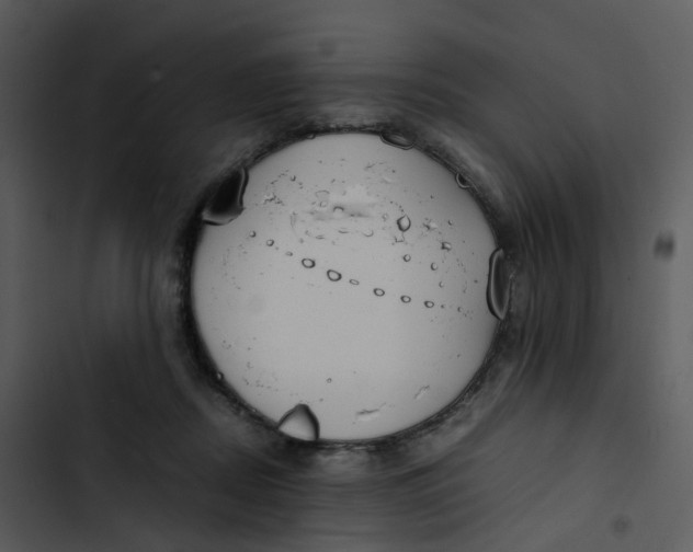 X0000102840362200809081225