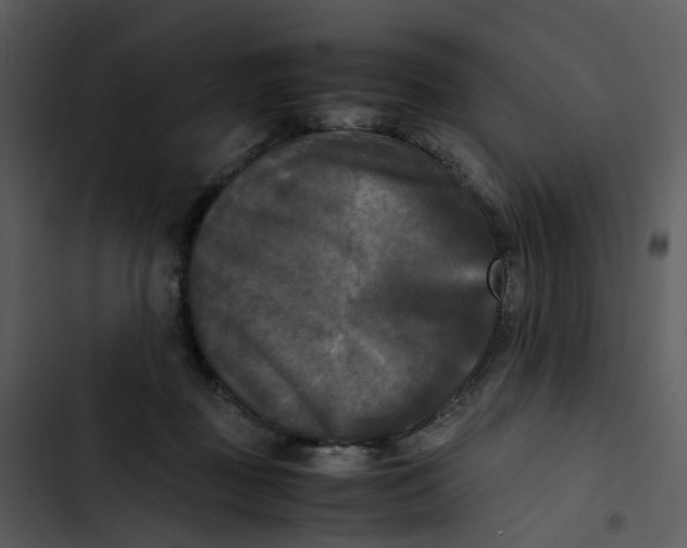 X0000102840363200809081225