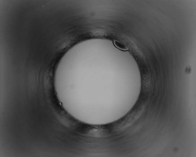 X0000102840364200809081225