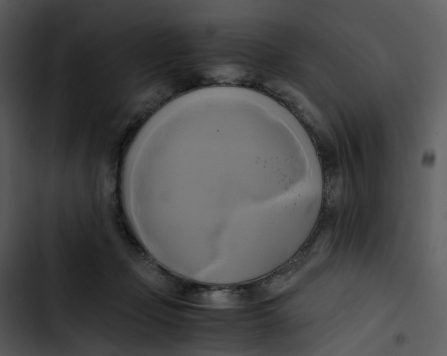 X0000102840365200809081225