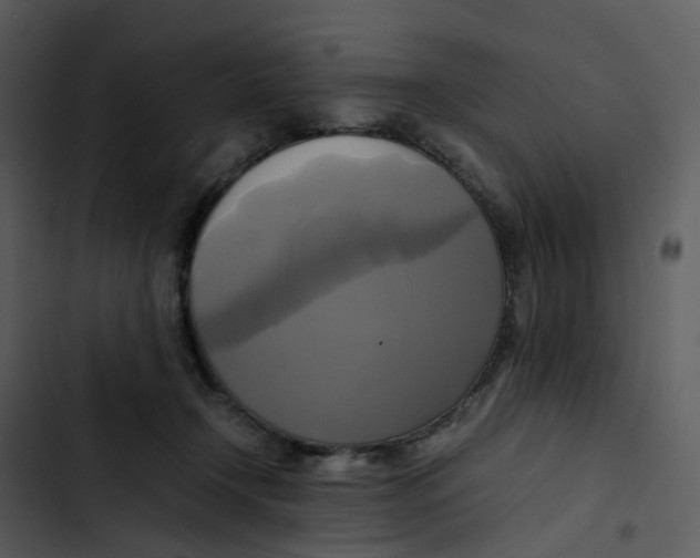 X0000102840366200809081225