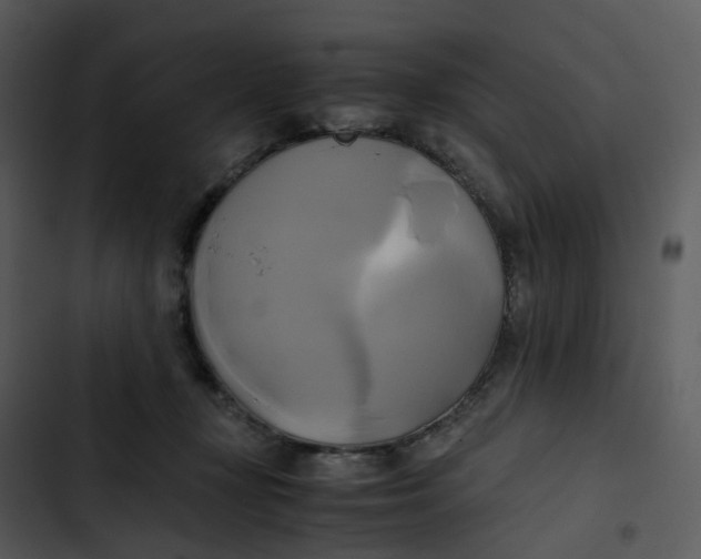 X0000102840367200809081225