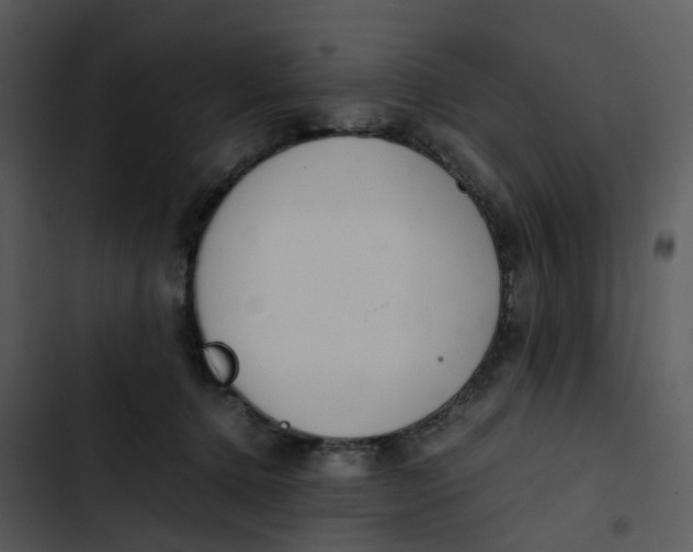 X0000102840368200809081225