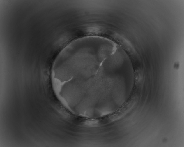 X0000102840369200809081225