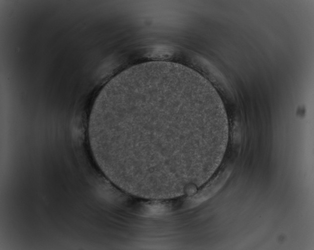 X0000102840370200809081225