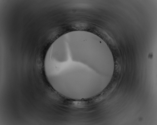 X0000102840371200809081225