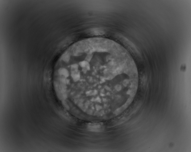 X0000102840373200809081225