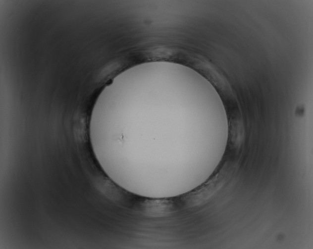 X0000102840378200809081225