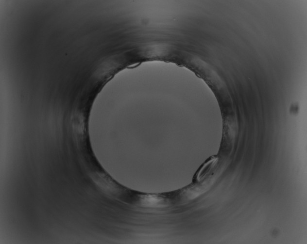 X0000102840380200809081226