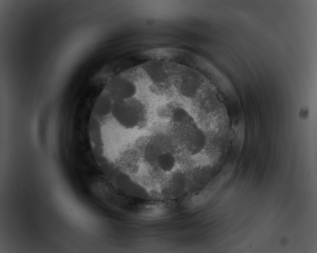 X0000102840381200809081226