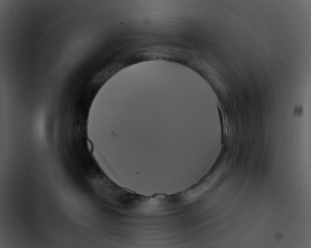 X0000102840382200809081226