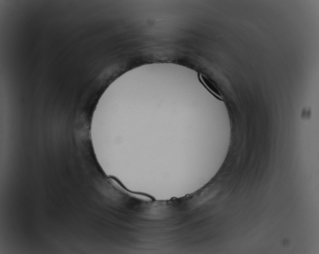 X0000102840384200809081226