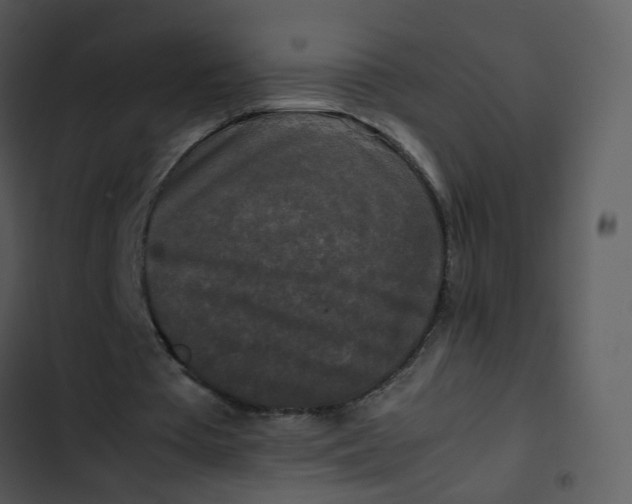 X0000102840385200809081225