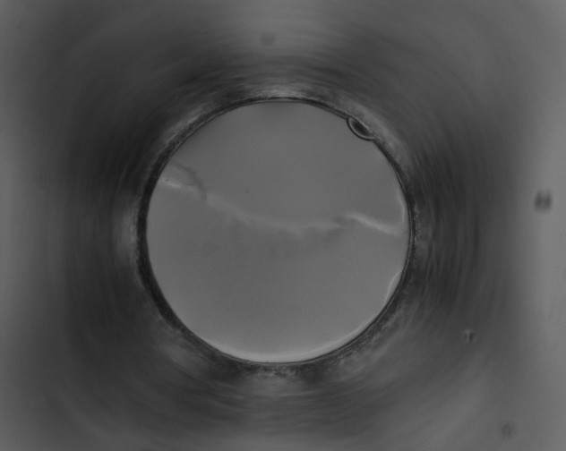 X0000102840386200809081225