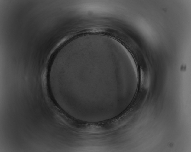 X0000102840387200809081225