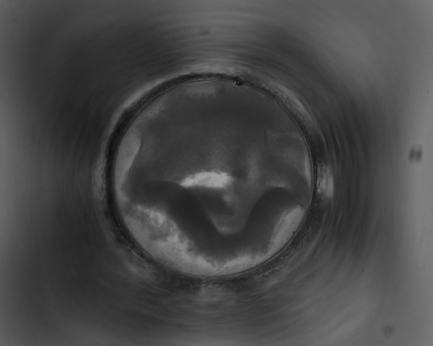 X0000102840388200809081225