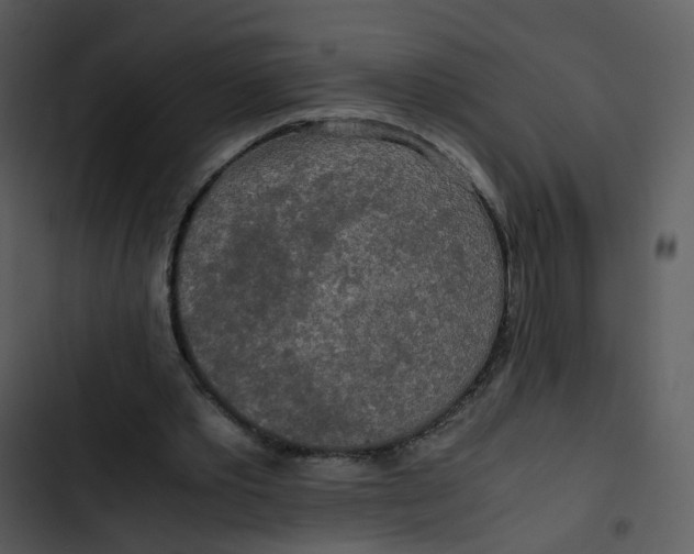 X0000102840389200809081225