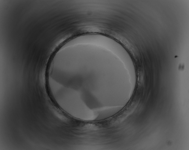 X0000102840390200809081225