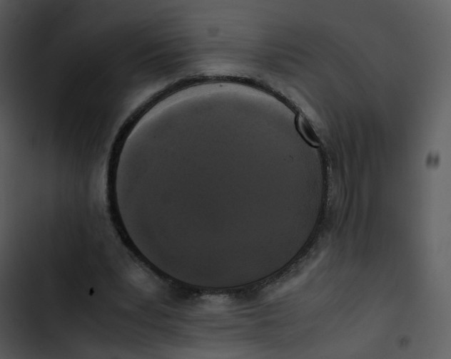 X0000102840391200809081225