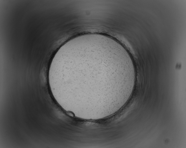 X0000102840393200809081225