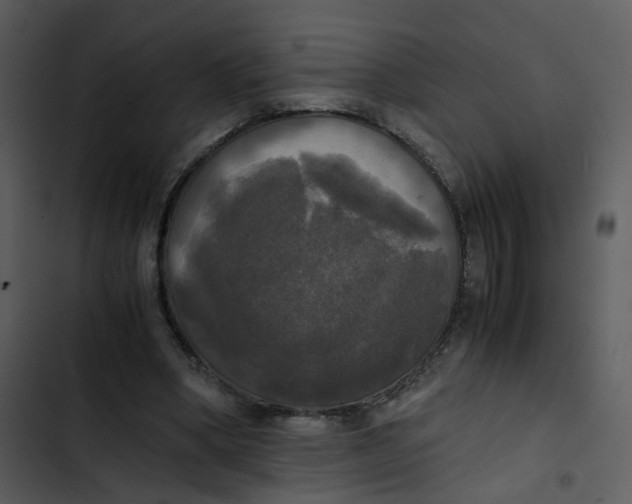 X0000102840394200809081225