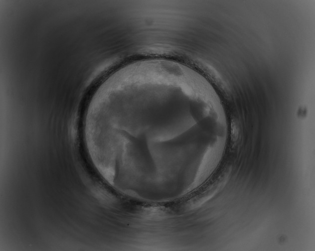 X0000102840396200809081225