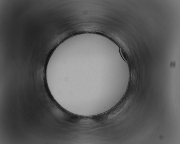 X0000102840397200809081225