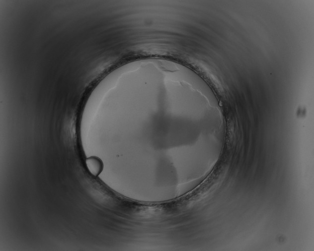 X0000102840398200809081225