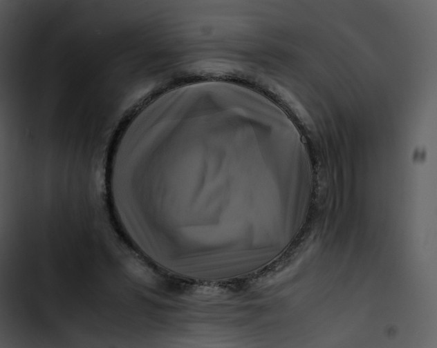 X0000102840399200809081225