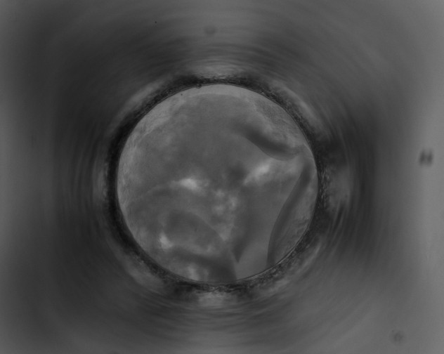 X0000102840400200809081225